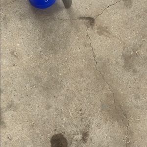 Meet your Posher, Earl